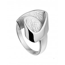 ZILVEREN RING