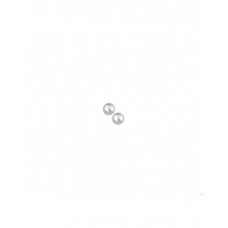 ZILVEREN PAREL OORSTEKER