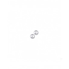 ZILVEREN PAREL OORSTEKER