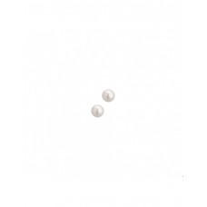 ZILVEREN PAREL OORSTEKER