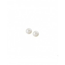 ZILVEREN PAREL OORSTEKERS