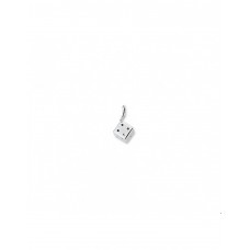 ZILVEREN HANGER  DOBBELSTEEN