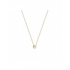 GOUDEN COLLIER MET RONDE ZIRKONIA HANGER