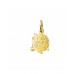 GOUDEN  HANGER