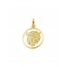 GOUDEN  HANGER