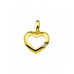 GOUDEN HANGER MET ZIRKONIA