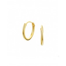 GOUDEN BUIS CREOOLEN GOUDEN BUIS CREOOLEN