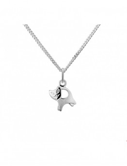 ZILVEREN HANGER incl.ketting