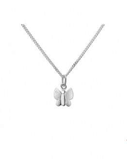 ZILVEREN HANGER incl.ketting