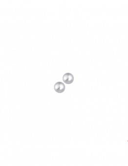 ZILVEREN PAREL OORSTEKER