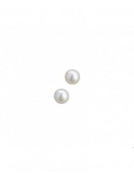 ZILVEREN PAREL OORSTEKER