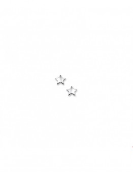 ZILVEREN STER OORSTEKER