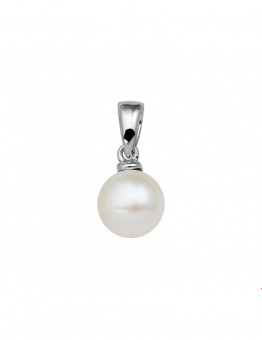 ZILVEREN PAREL HANGER