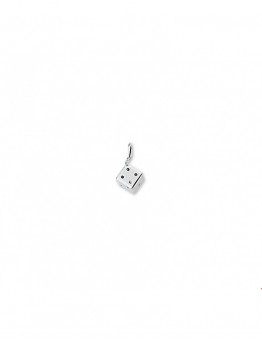 ZILVEREN HANGER  DOBBELSTEEN