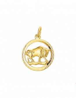GOUDEN  STERREBEELD