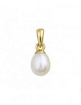 GOUDEN HANGER MET PAREL