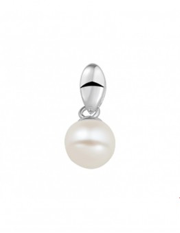 ZILVEREN HANGER MET PAREL