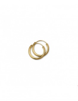 GOUDEN BUIS CREOOLEN