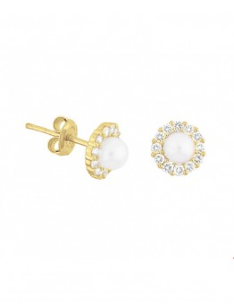 GOUDEN PAREL OORSIERAAD