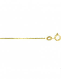14 KARAAT GEELGOUDEN COLLIER ANKER 41-45 CM 1,0MM